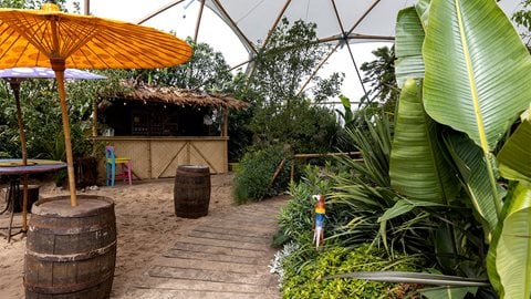 A hidden tropical paradise lies within the huge dome where tall, lush planting and cascading waterfalls give the garden a sense of scale and awe