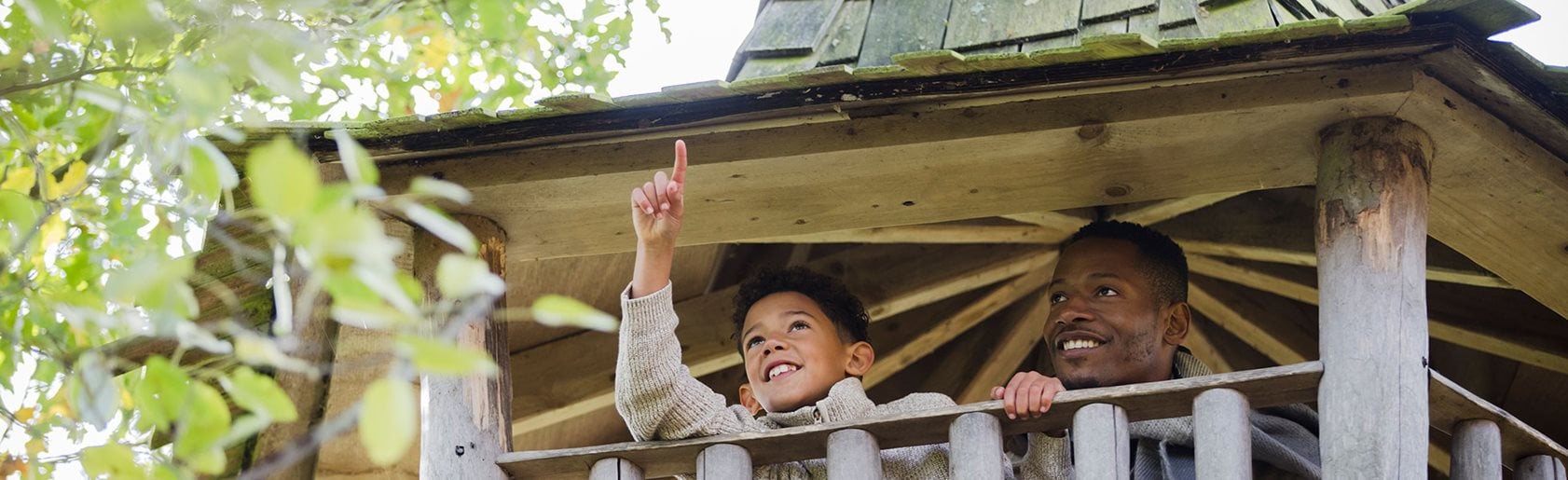 photograph of the garden