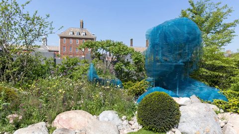 A garden that explores the juxtaposition between inspiring contemporary sculpture, naturalistic planting and a strong message.