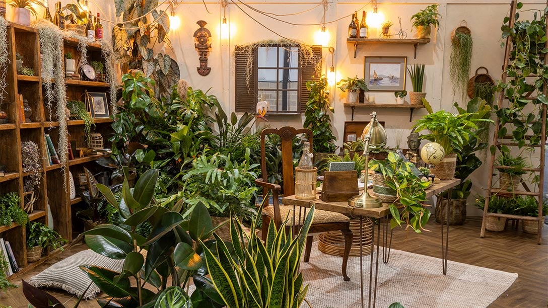 The Scholar’s Jungle