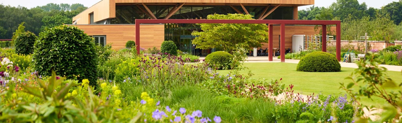 photograph of the garden