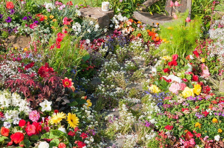 Blooming Borders A Veteran's Refuge. RHS Flower Show Tatton Park 2017