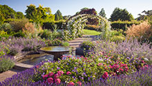 Visit Wisley in summer