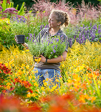 Visitor looking at potted plants, surrounded by flowers