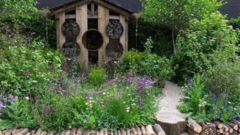 The SongBird Survival Garden