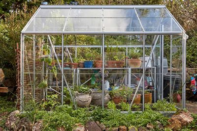Winter salad greenhouse