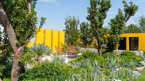 A mediterranean inspired garden on a rectangular theme, using a wide range of drought and heat tolerant plants in a colourful yet refined contemporary design.