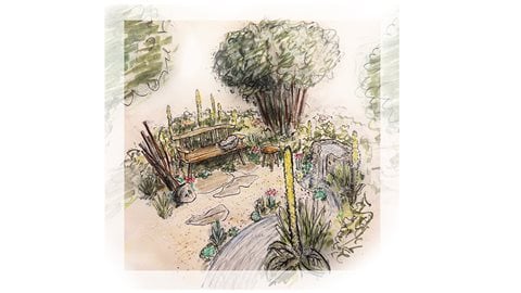 Split Hazel Basketry: Weaving Tradition with Flo Hamer