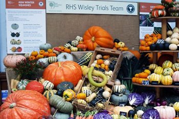 Wisley trial team's squashes