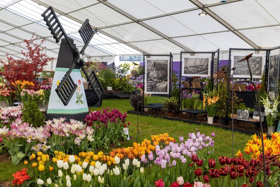 Master Grower Pheasant Acre Plants at the RHS Malvern Spring Festival 2022