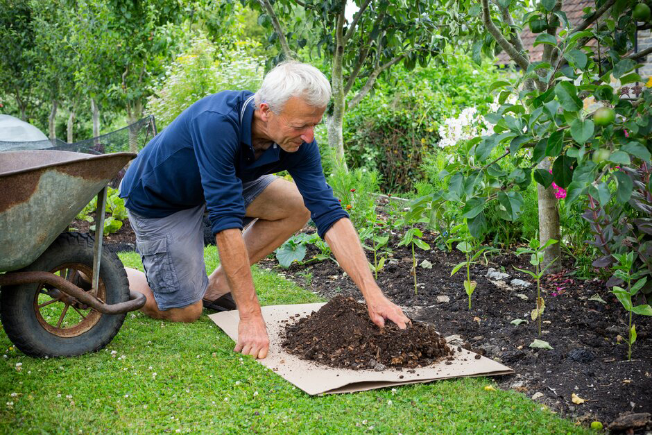 Why Everyone Should Try 'No Dig' Gardening