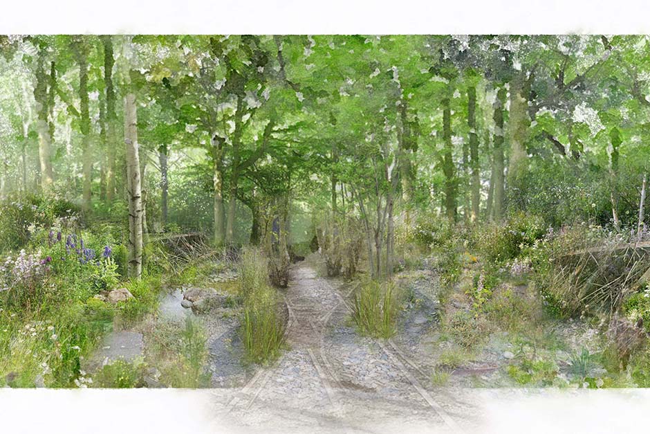 RHS Hampton Court Garden Festival 2024 / RHS Gardening