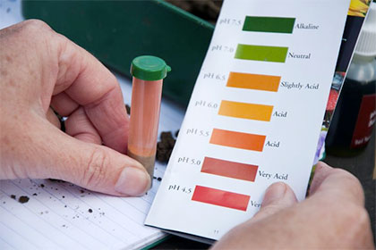 Soil: understanding pH and testing soil / RHS Gardening