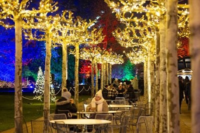 Visitors to Glow with hot drinks in cafe