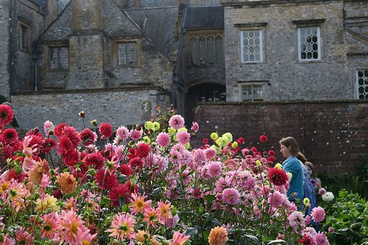 Visitors admire dahlias at Forde Abbey Gardens