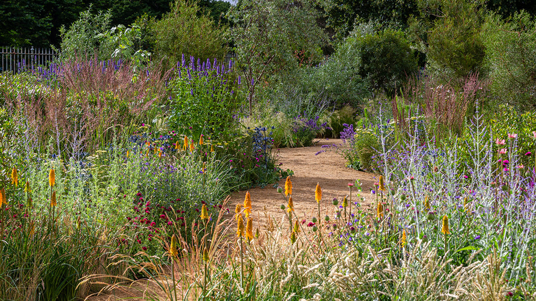 RHS Iconic Horticultural Hero Garden &ndash; Tom Stuart-Smith