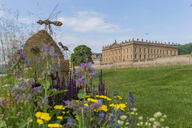 Planting in front of Chatsworth House