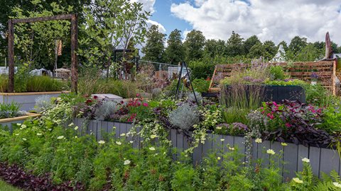 Attractive raised beds bring the planting to a more accessible level, some of their tops doubling as seating, making the garden more suitable for people with reduced mobility