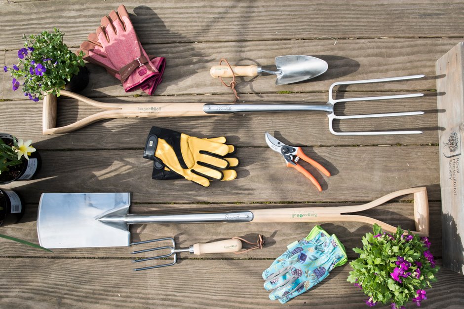 Five gardening tasks for dark winter evenings / RHS Gardening