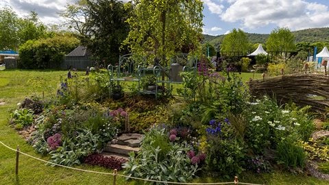The Borrowed Border