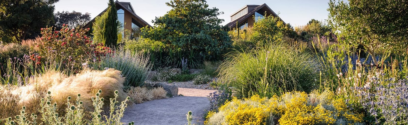 photograph of the garden