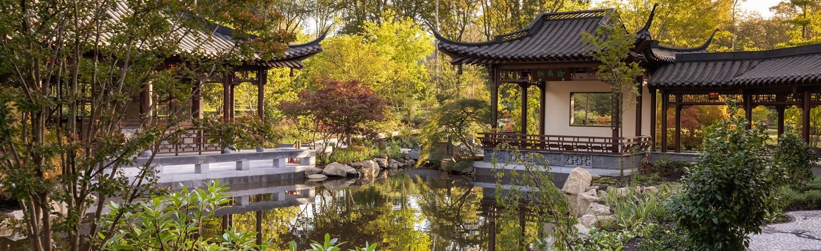 photograph of the garden