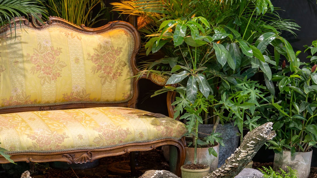 The Biophilic Blueprint