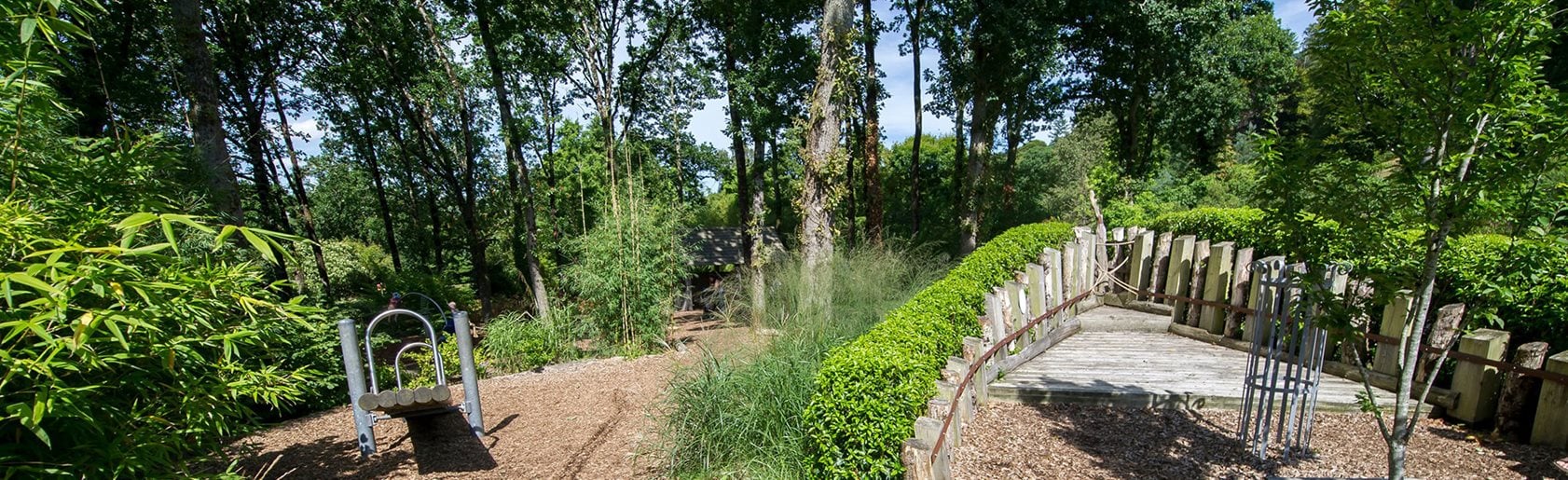 photograph of the garden