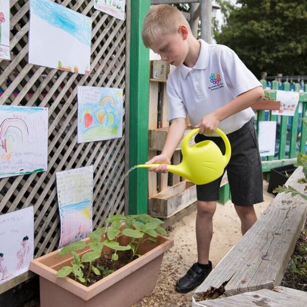 Pupil watering plants