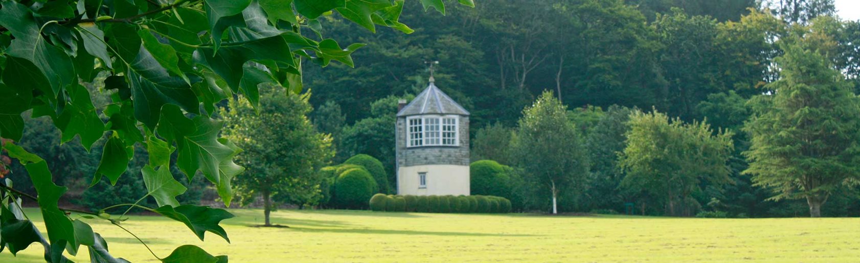 photograph of the garden