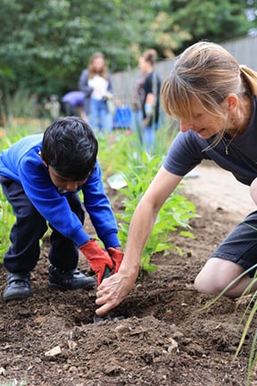 Children: getting them interested in gardening