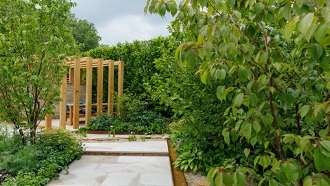 With natural contours and crisp, clean lines this garden accommodates plants with medicinal and health giving properties used in Kampo, Japanese traditional medicine