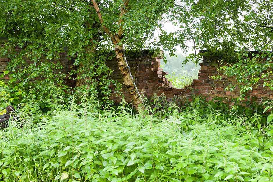 View planning images for RHS Garden Bridgewater / RHS Gardening