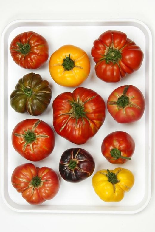 Beefsteak tomatoes from the 2014 trial at Wisley