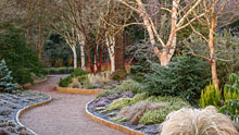 Visit Rosemoor in winter