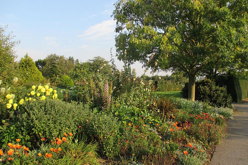 RHS Garden Hyde Hall Events & attractions in Chelmsford, Essex / RHS