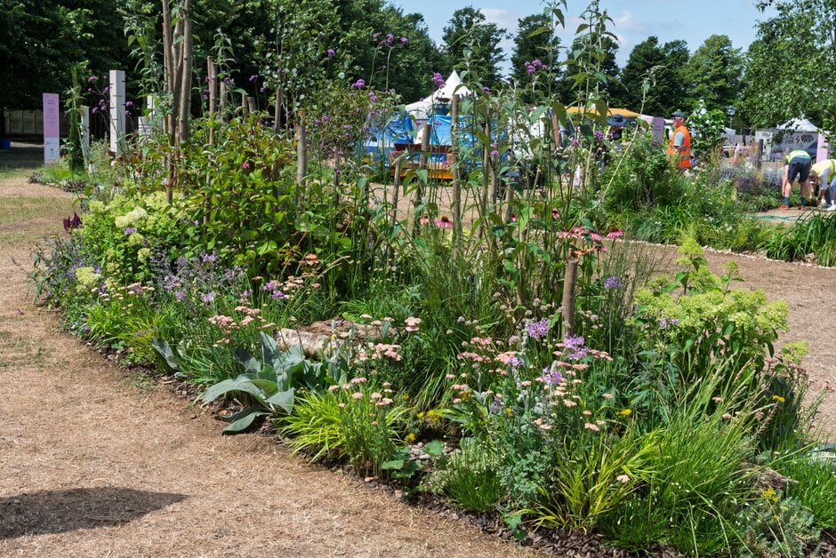 Pocket planting welcoming wildlife