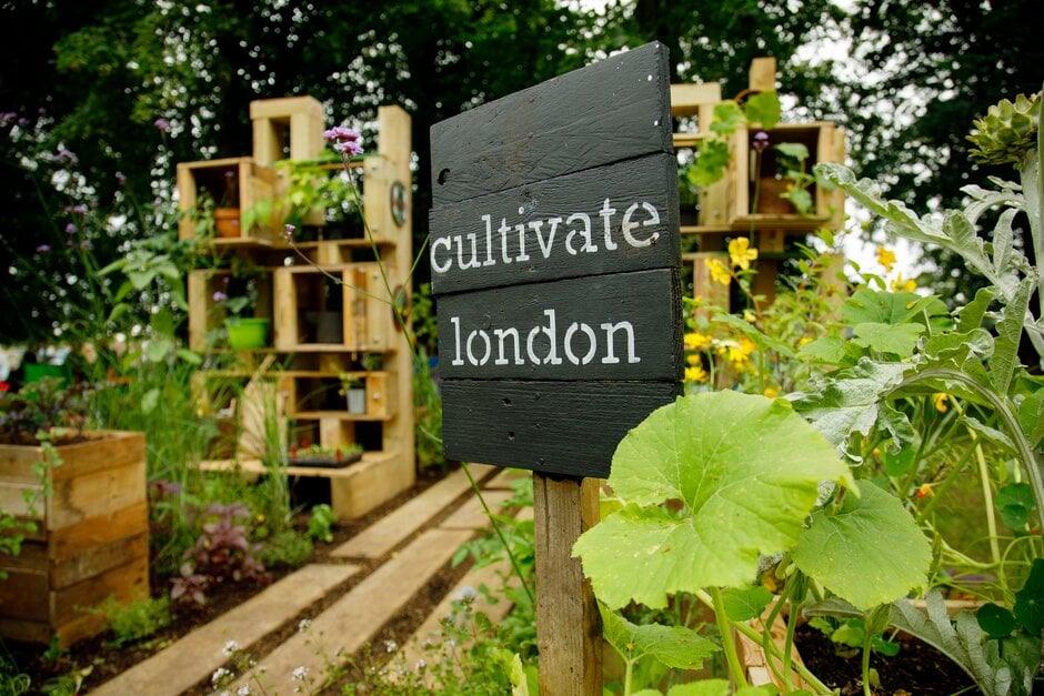 Cultivate London display at RHS Hampton Court Palace Garden Festival 2021