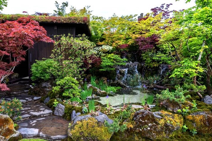 The Biophilic Garden Otsu