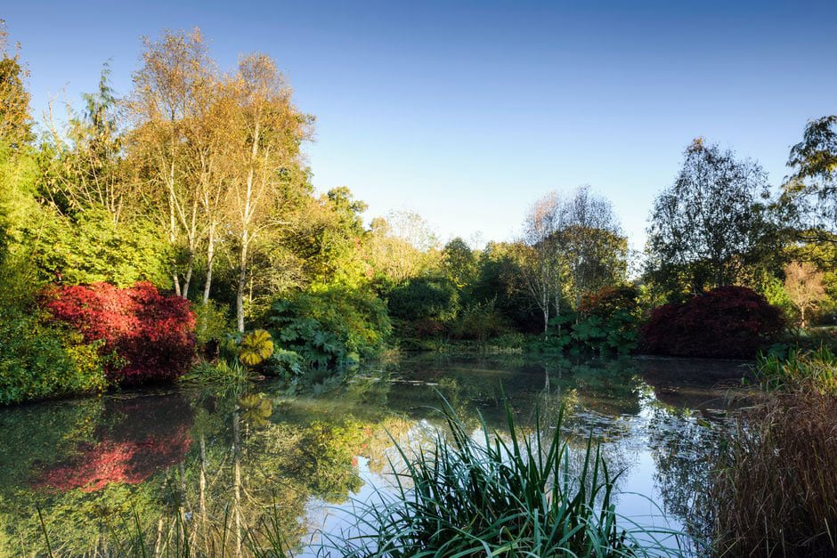 The Lake at RHS Garden Rosemoor