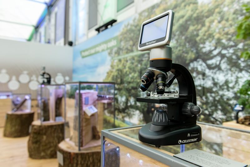 Interactive display in the Great Pavilion