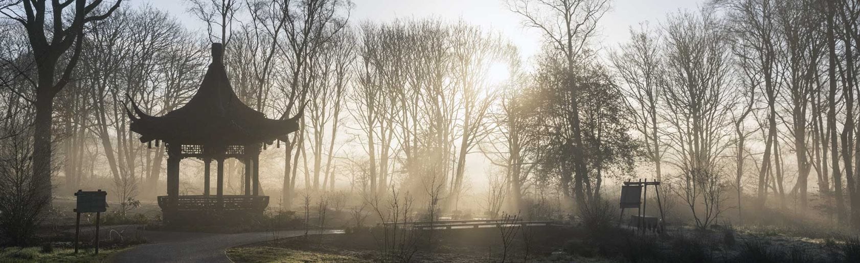 photograph of the garden