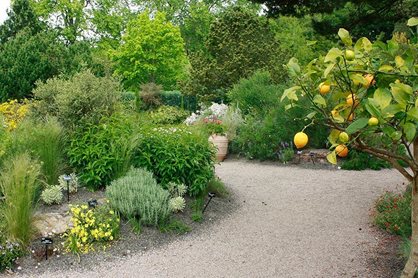 Mediterranean Garden at RHS Garden Rosemoor