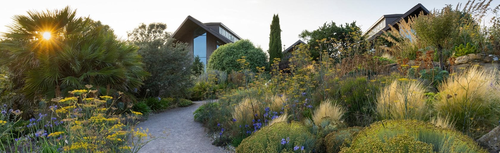 photograph of the garden