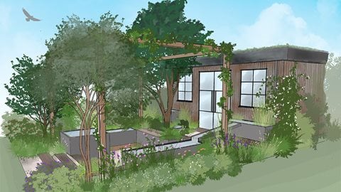 The Rhythm of Rainwater