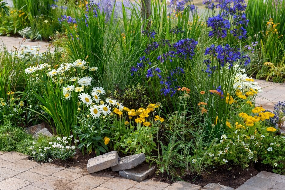 RHS and BBC North West Community Urban Garden