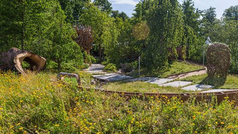 This garden is designed to become more stimulating the further into it you get; as you enter the feel is open and relaxed with long grass and stone stepping stones that gradually reduce in size.