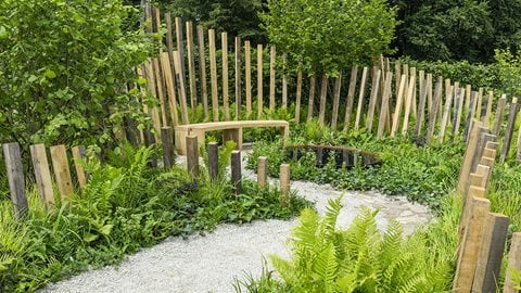 Richly-textured planting in muted shades complements curvaceous wooden features to make a serene space, ideal for contemplation.