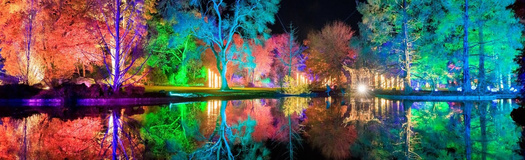 photograph of the garden