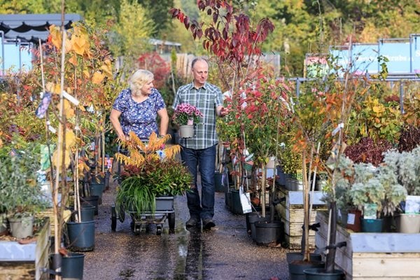 person shopping for small plant from the shop